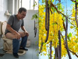 WC, Kinez, kasija