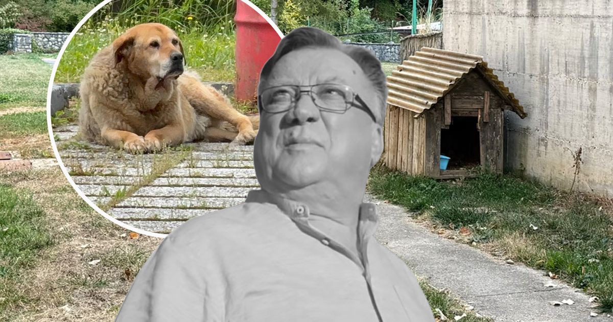 Najpotresniji prizor iz Sarajeva na Halidovu godišnjicu: Kućica prazna ...