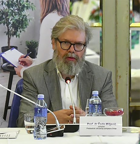 Prof. dr Čedo Miljević,  Maja Pantovič Stefanović, Larisa Despotović, Depresija, Lečenje
