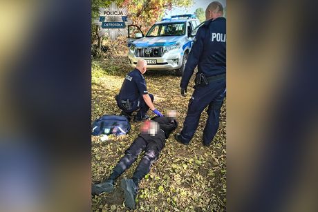 Poljska policija