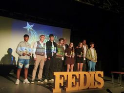 16. međunarodni Festival drama i serija FEDIS