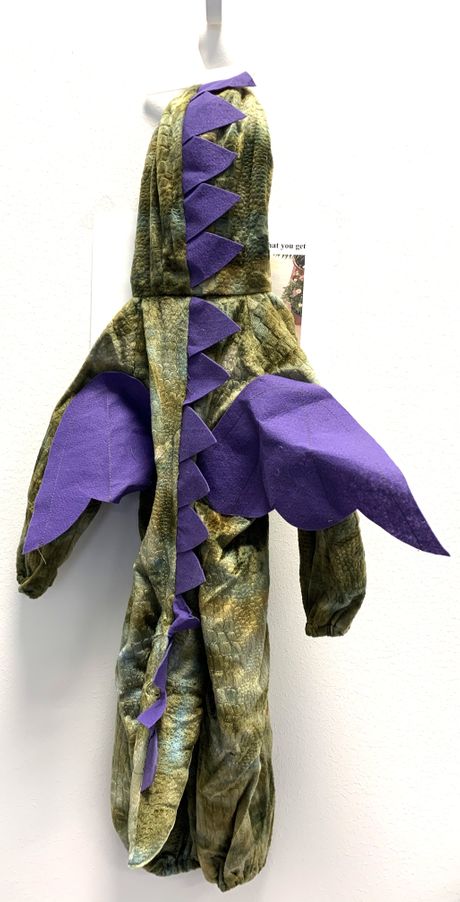 Povlačenje proizvoda dinosaurus