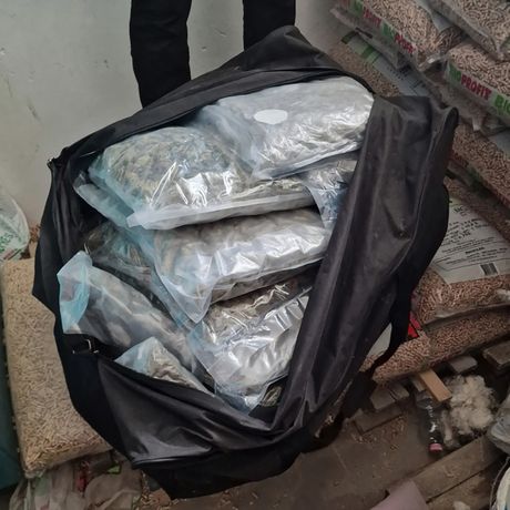 Hapšenje, Marihuana, Europol