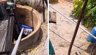 Mislila da ide po zmiju od 100 centimetara, a onda je pogledala u bunar: Nije očekivala da će OVO zateći