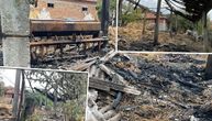 PRVE SLIKE POŽARA U JAGNJILU! Izgoreo senjak Gorana Živanovića: Osuđen za ubistvo psa, pa mu buknulo imanje!