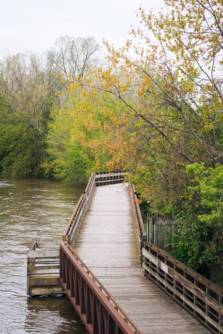 Lansing River Trail ubistva