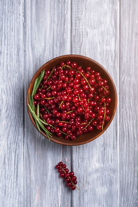 Barberry, žutika, šimširika