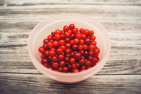 Barberry, žutika, šimširika