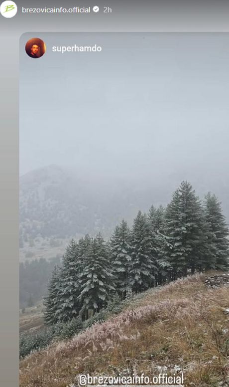 Brezovica