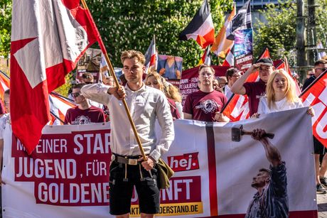 Nemačka, organizacija Junge Nationalisten