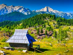 Slovenija, Velika planina
