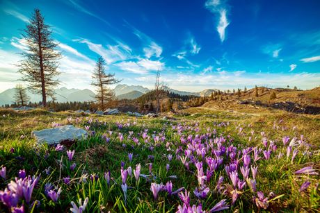 Slovenija, Velika planina