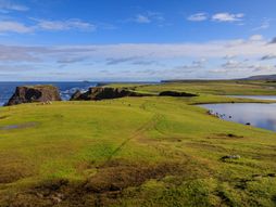 Škotska,  Shetland