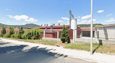 Vektra Jakić