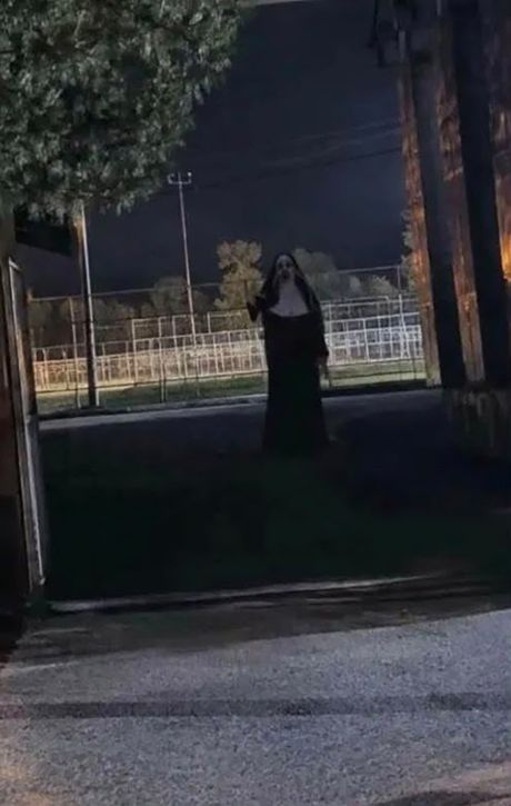 Časna Sestra, Inđija, Beška