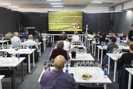 Wine Vision 2026