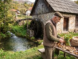Poljoprivrednik, seljak, vodenica