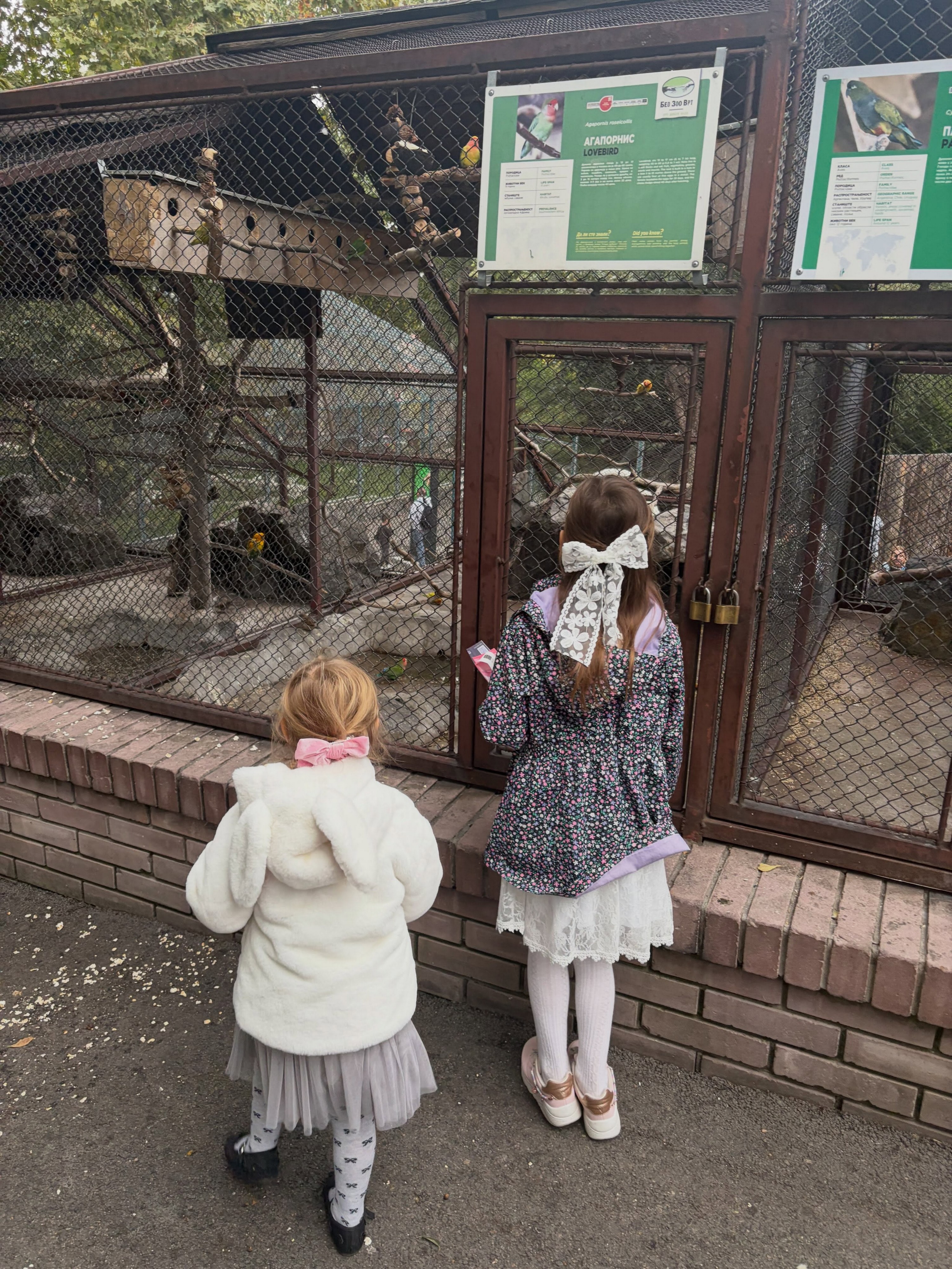 Kakva idila! Luna i Marko odveli ćerke u zoo vrt: Devojčice oduševljene, maze životinje i voze se na vrtešci