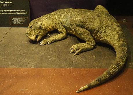 Psittacosaurus