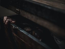 Vampir