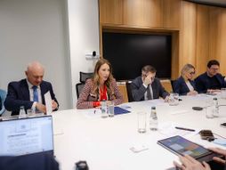 Dubravka Đedović Handanović, JICA