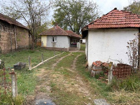 Porodica Maksimović, selo Cernica, Leskovac