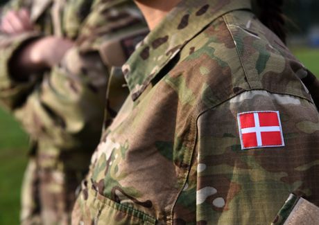 Danska vojska