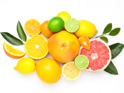 Citrusi