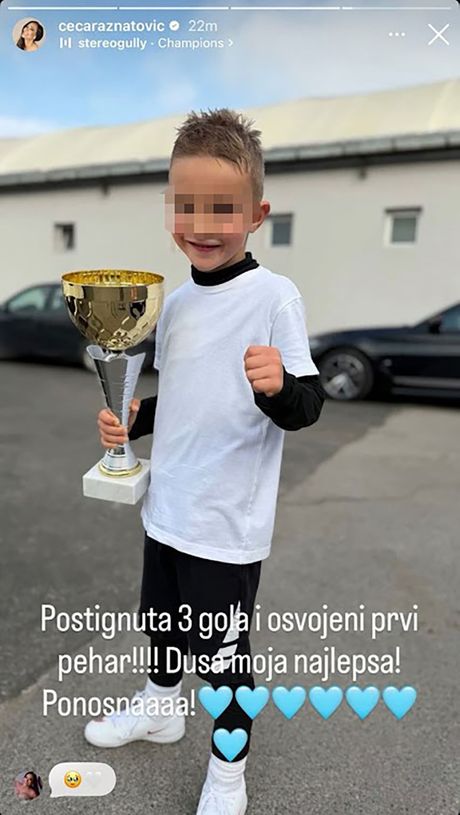 Ceca Ražnatović, Željko Ražnatović