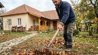 Hoće li trava u dvorištu preživeti jesen ili treba da se hvatate za glavu: Opalo lišće može da upropasti sve