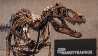 Fosil ovog dinosaurusa prodat za neverovatnu svotu novca! Nećete verovati koliko je čovek para izdvojio