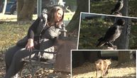 Krade i krije hranu, suši perje fenom: Kaito je najrazmaženije biće u Srbiji - Jelica otkrila detalje života