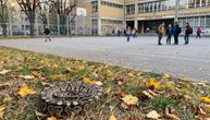Nađen piton u dvorištu osnovne škole u Beogradu!
