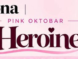 Udruženje Heroine