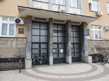Danka Ilić, Viši sud u Negotinu, Negotin