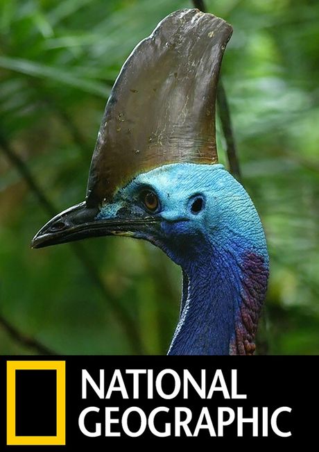 Sastanak iz snova rs