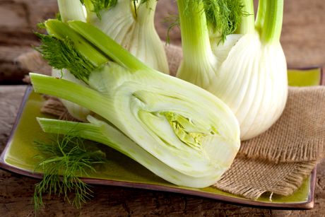 Fennel