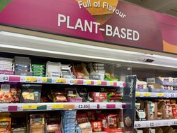 Plant-based cheeses