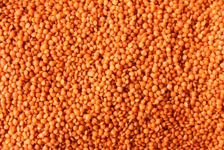 red lentils